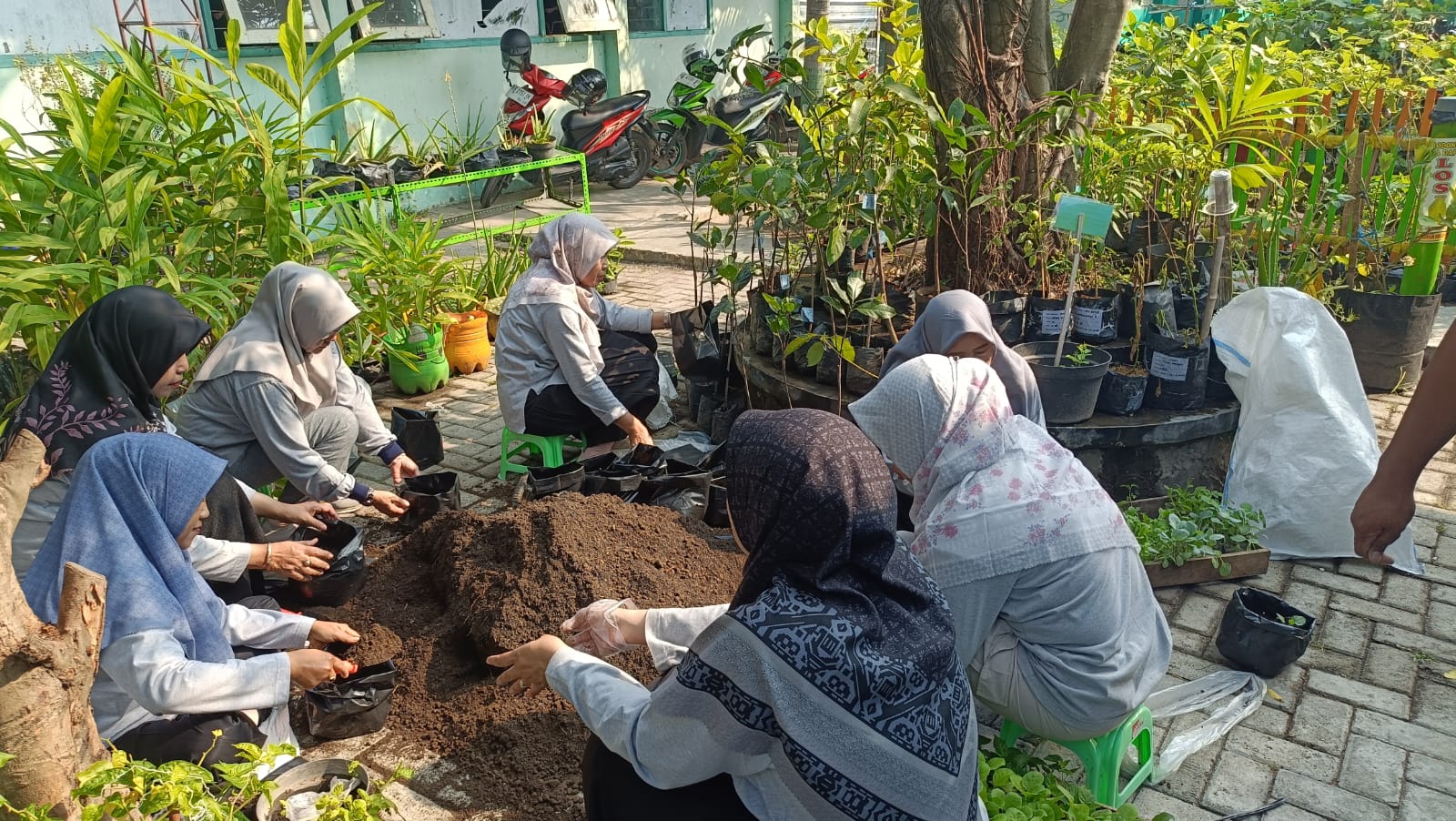 Kegiatan Penanaman Bibit di Green House SMKN 1 Jiwan